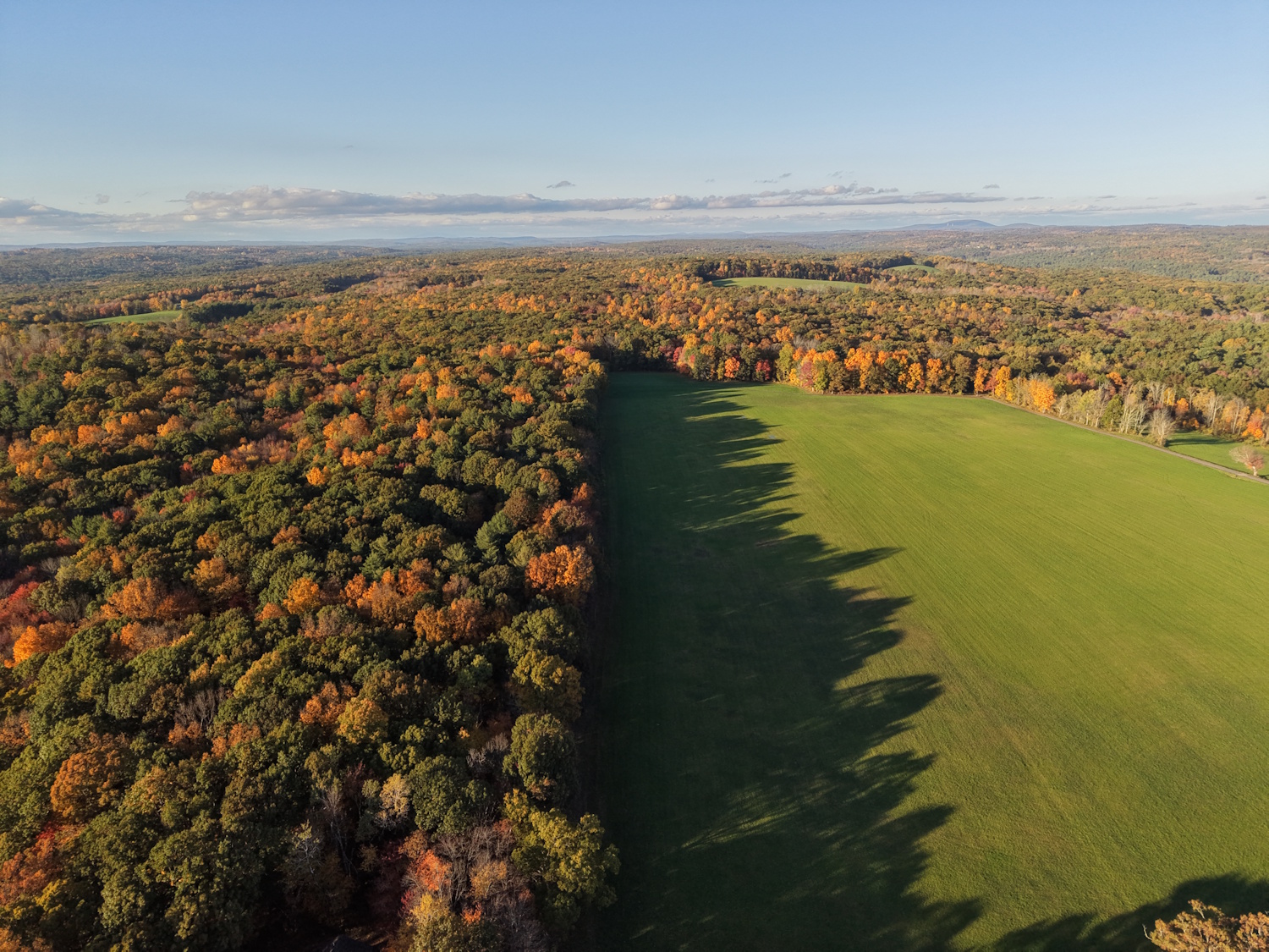 DJI_20261014170125_0008_D.jpg