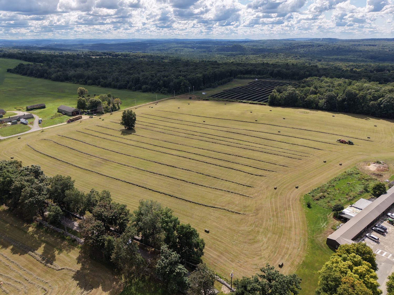 DJI_20260826144551_0022_D.jpg